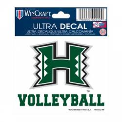 University Of Hawaii Warriors Volleyball - 3x4 Ultra Decal