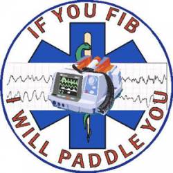 If You Fib I Will Paddle You - Decal