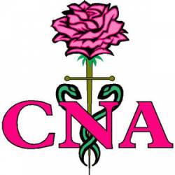 Certified Nursing Assistant Pink Rose - Decal