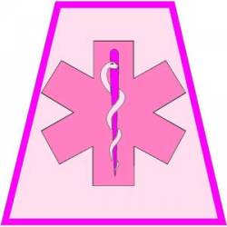 Pink EMS Star Of Life Helmet Tet - Vinyl Sticker