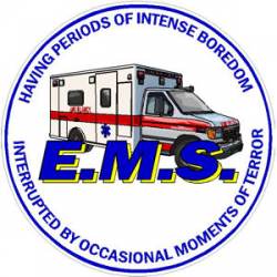 EMS Ambulance - Decal