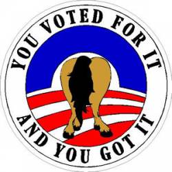 OBAMA You Voted For It And You Got It - Sticker