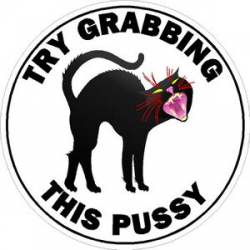 Try Grabbing This Pussy - Sticker