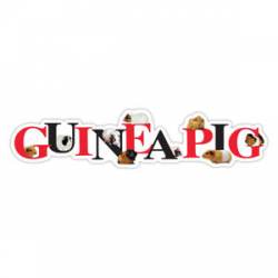 Guinea Pig - Alphabet Magnet
