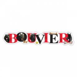 Bouvier - Alphabet Magnet