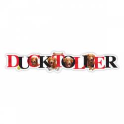 Duck Toller - Alphabet Magnet