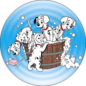 Wash Dry - Button