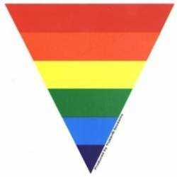 Rainbow Pride Triangle LGBTQ - Vinyl Sticker