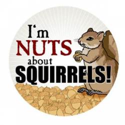 I'm Nuts About Squirrels! - Circle Magnet