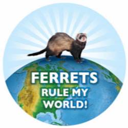 Ferrets Rule My World - Circle Magnet
