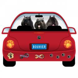 Bouvier - Paw Magnets
