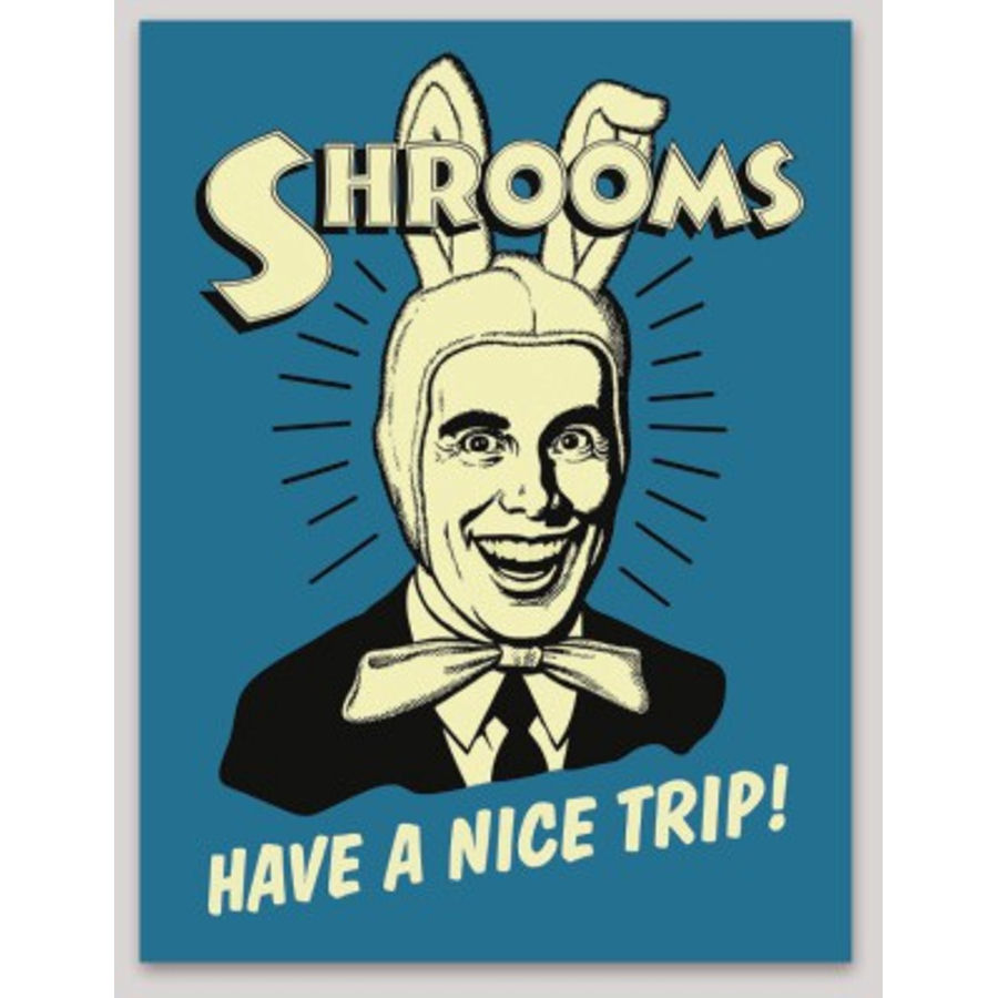 Shrooms - Sticker