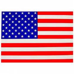 United States of America American Flag - 12" Sticker