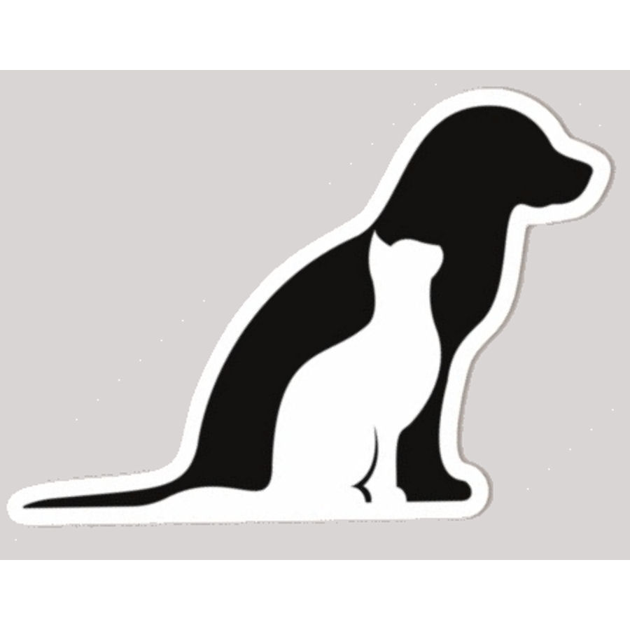 Cat Dog