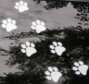 Paw Trail - Vinyl Stickers