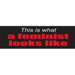 This Is What A Feminist Looks Like - Bumper Sticker