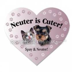 Neuter Is Cuter! - Heart Magnet