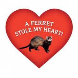 A Ferret Stole My Heart - Heart Magnet