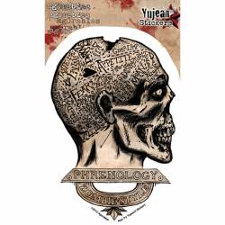 Agorables Zombie Phrenology - Vinyl Sticker