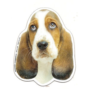 Basset Hound Magnet