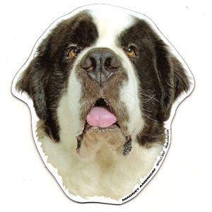 Saint Bernard Magnet