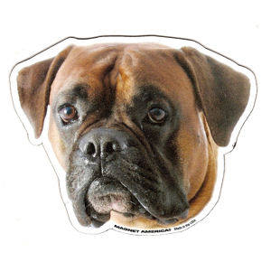 Boxer Magnet