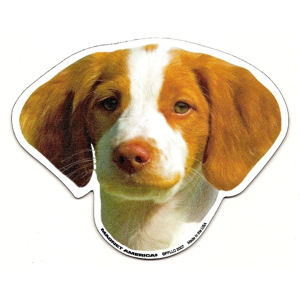 Brittany Spaniel Magnet