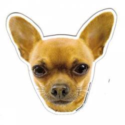 Chihuahua - Magnet
