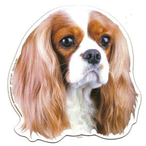 Cavalier King Charles Spaniel Magnet