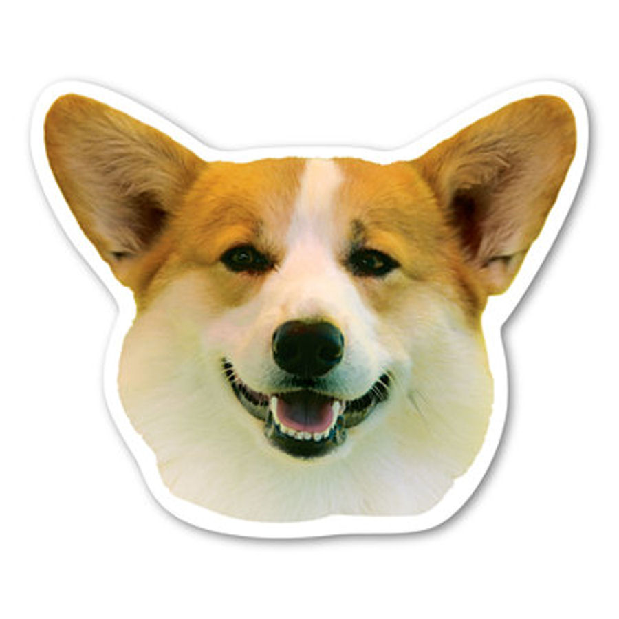 Welsh Corgi Magnet