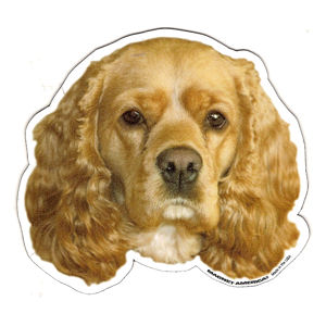 Cocker Spaniel Magnet