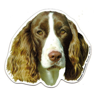 English Springer Spaniel Magnet