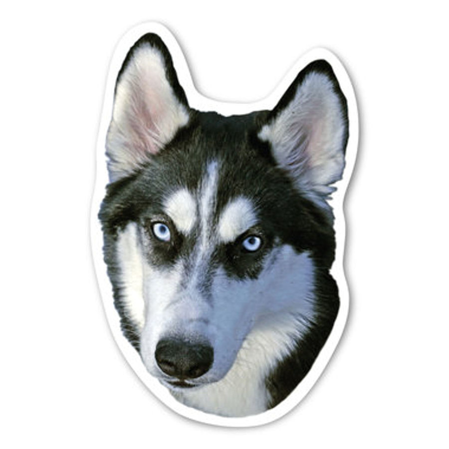 Siberian Husky Magnet