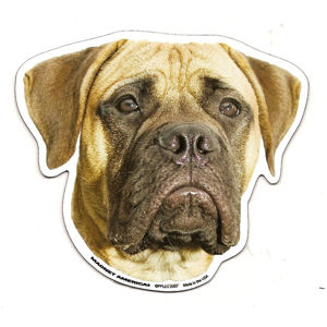 Bull Mastiff Magnet