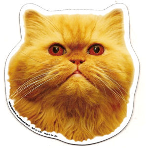 Persian Cat Magnet