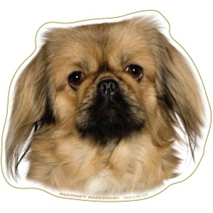 Pekingese Magnet