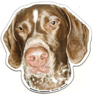 German Shorthaired Pointer Magnet