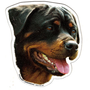 Rottweiler Magnet