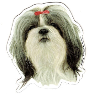 Shih Tzu Magnet