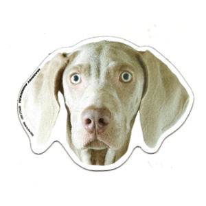 Weimaraner Magnet