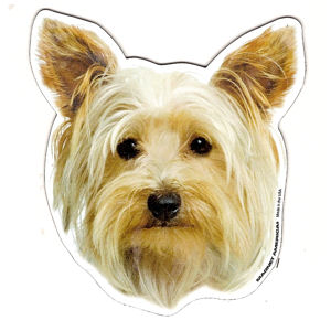 Yorkshire Terrier Magnet