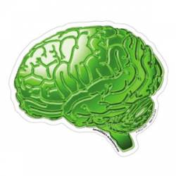 Think Green Brain - Magnet