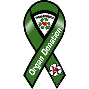 Organ Donation - Ribbon Magnet