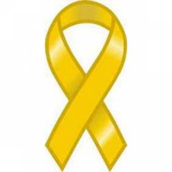 Plain Blank Solid Yellow Support Our Troops - Ribbon Magnet