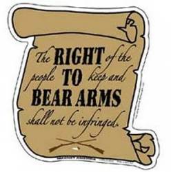Bear Arms - Magnet
