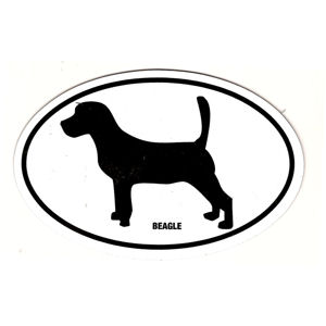 Beagle Oval Magnet