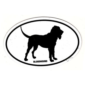 Bloodhound Oval Magnet