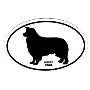 Border Collie Oval Magnet