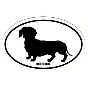 Dachshund  - Oval Magnet