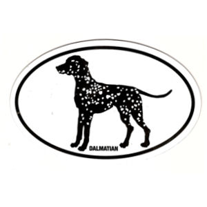 Dalmatian Oval Magnet